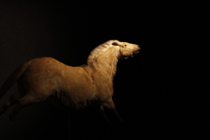Raccourci vers la galerie Art pariétal : sculpture d'un cheval